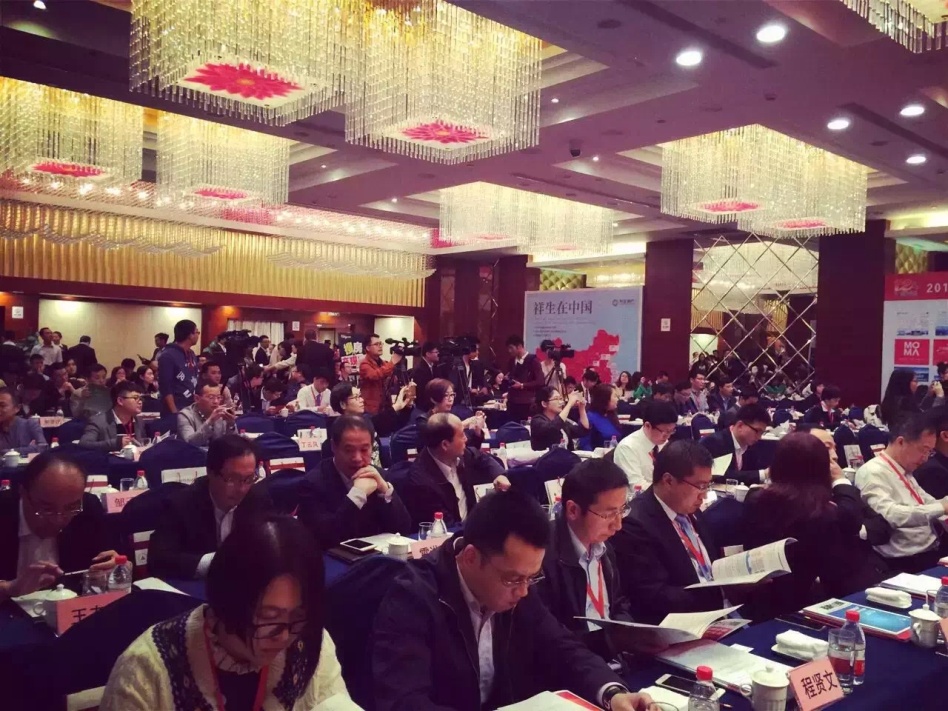 1446167295349401X6Q0.jpg 1446167295349401X6Q0.jpg